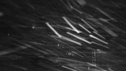 Informační centrum Zvonice