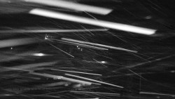 Informační centrum Zvonice