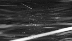 Informační centrum Zvonice