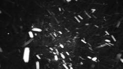 Informační centrum Zvonice