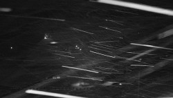 Informační centrum Zvonice