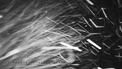 Informační centrum Zvonice