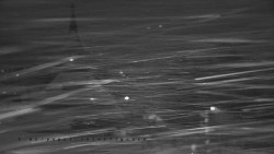 Informační centrum Zvonice