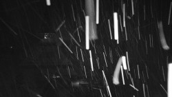 Informační centrum Zvonice