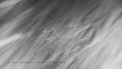 Informační centrum Zvonice