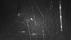 Informační centrum Zvonice