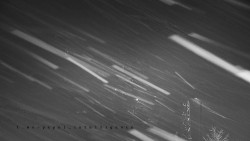 Informační centrum Zvonice