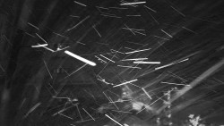 Informační centrum Zvonice