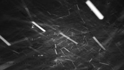 Informační centrum Zvonice