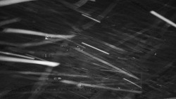 Informační centrum Zvonice