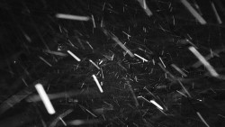 Informační centrum Zvonice