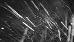 Informační centrum Zvonice