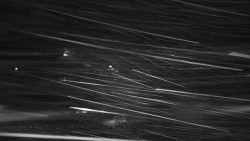 Informační centrum Zvonice