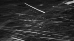 Informační centrum Zvonice