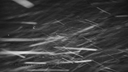 Informační centrum Zvonice