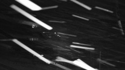 Informační centrum Zvonice