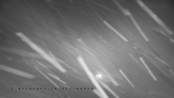 Informační centrum Zvonice