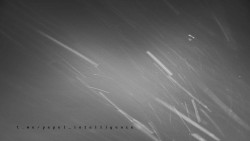 Informační centrum Zvonice