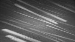 Informační centrum Zvonice