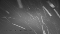 Informační centrum Zvonice