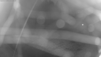 Snímek    25.10.2025 v 07:15