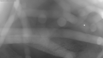 Snímek    25.10.2025 v 23:00