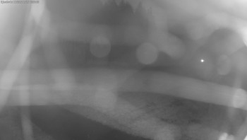 Snímek    26.10.2025 v 06:15
