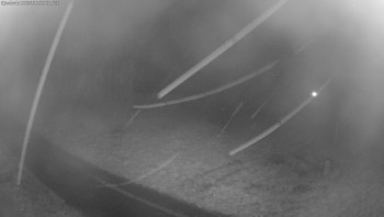 Snímek    28.10.2025 v 21:00