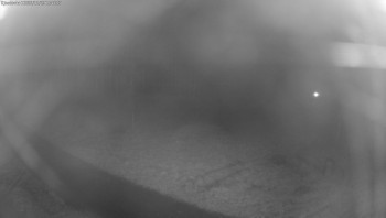 Snímek    29.10.2025 v 19:45