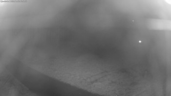 Snímek    29.10.2025 v 23:45