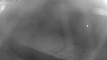 Snímek    31.10.2025 v 04:45