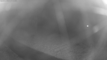 Snímek    31.10.2025 v 21:00