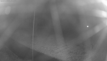 Snímek    2.11.2025 v 18:30