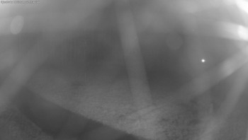 Snímek    2.11.2025 v 22:45