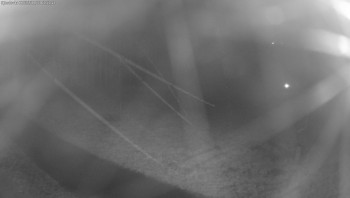 Snímek    3.11.2025 v 01:45