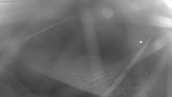 Snímek    3.11.2025 v 03:15