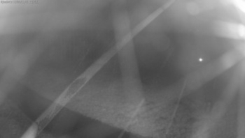 Snímek 3.11.2025 v 04:30