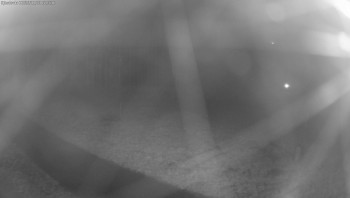 Snímek    3.11.2025 v 05:00