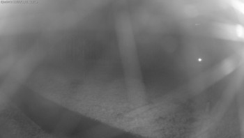 Snímek    3.11.2025 v 06:00