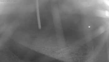 Snímek    3.11.2025 v 06:15