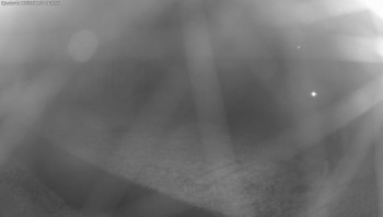 Snímek    4.11.2025 v 04:45