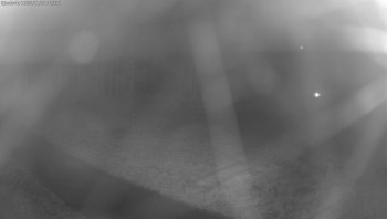 Snímek 5.11.2025 v 04:15