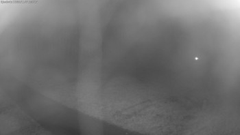 Snímek 7.11.2025 v 00:30