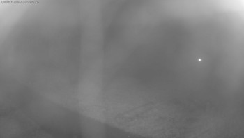 Snímek 7.11.2025 v 02:45