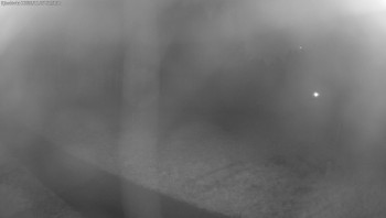 Snímek 7.11.2025 v 21:15