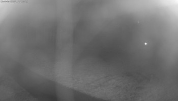 Snímek 7.11.2025 v 22:30