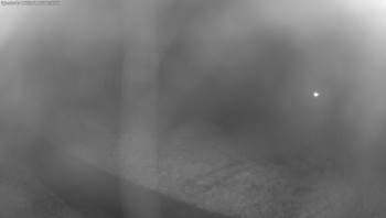 Snímek 8.11.2025 v 00:30