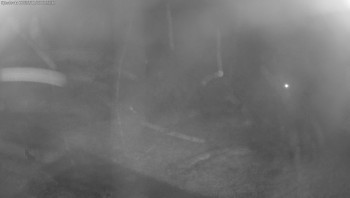 Snímek 8.11.2025 v 21:15