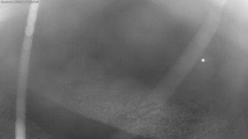 Snímek 16.11.2025 v 23:45