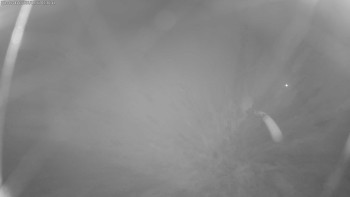 Snímek 17.11.2025 v 02:30